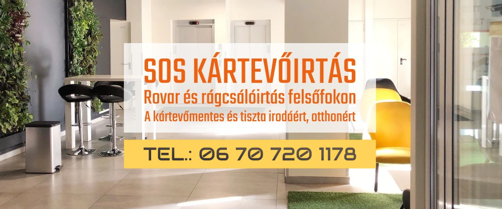 Kártevőirtás: Rágcsálóirtás és rovarirtás Kártevőirtás: Rágcsálóirtás és rovarirtás